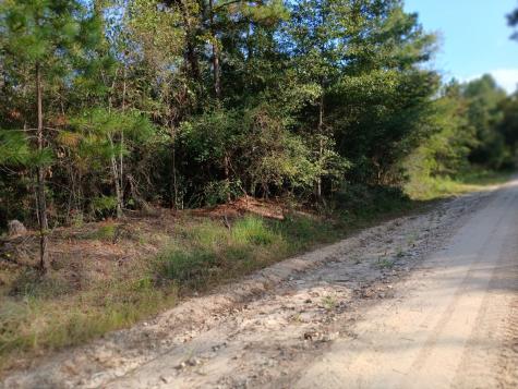 111 Bill Jones Road Groveton TX 75845