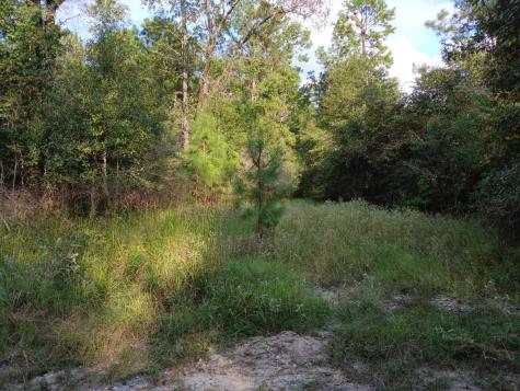 111 Bill Jones Road Groveton TX 75845
