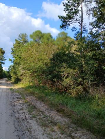 111 Bill Jones Road Groveton TX 75845