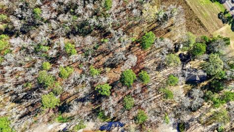 Lot 83 Lake Oaks Circle Coldspring TX 77331