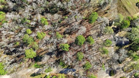 Lot 83 Lake Oaks Circle Coldspring TX 77331