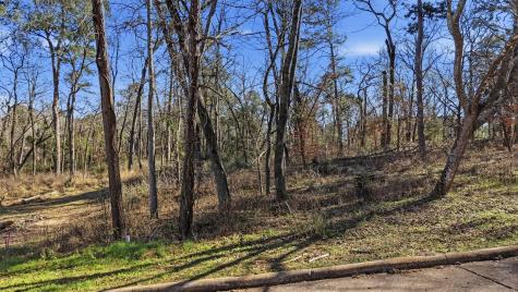 Lot 83 Lake Oaks Circle Coldspring TX 77331