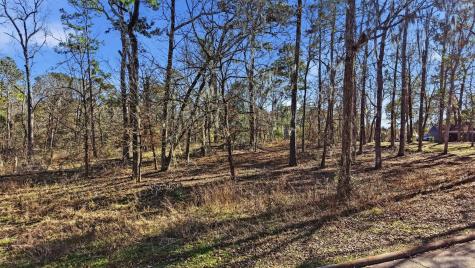 Lot 83 Lake Oaks Circle Coldspring TX 77331