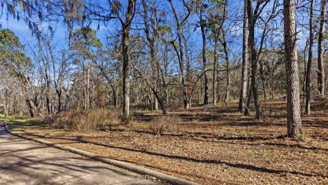 Lot 83 Lake Oaks Circle Coldspring TX 77331