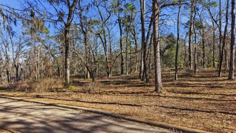 Lot 83 Lake Oaks Circle Coldspring TX 77331