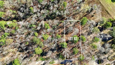 Lot 83 Lake Oaks Circle Coldspring TX 77331