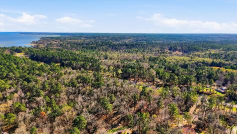 Lot 83 Lake Oaks Circle Coldspring TX 77331