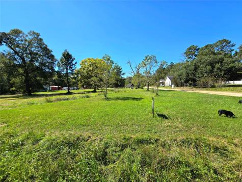 471 County Road 3372 Cleveland TX 77327