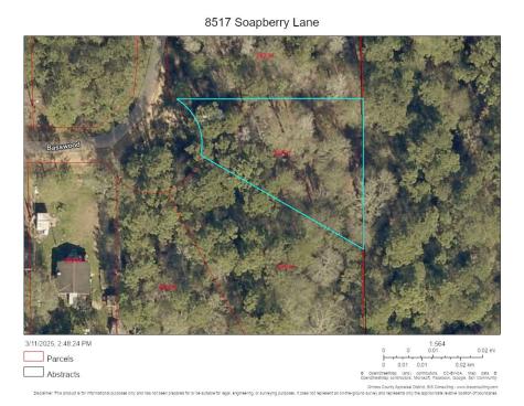 8517 Soapberry Lane Plantersville TX 77363