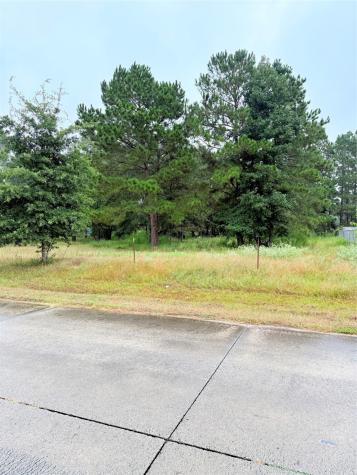 41 County Road 3410 Cleveland TX 77327