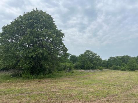 Tract # 3 County Road 124 Iola TX 77861