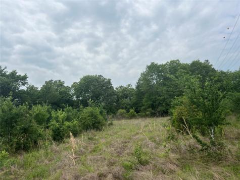 Tract # 3 County Road 124 Iola TX 77861
