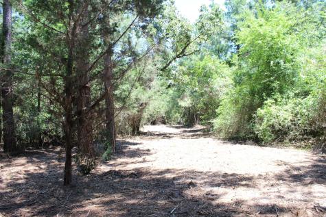 9417 County Road 114 Centerville TX 75833