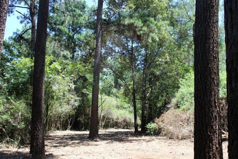 9417 County Road 114 Centerville TX 75833