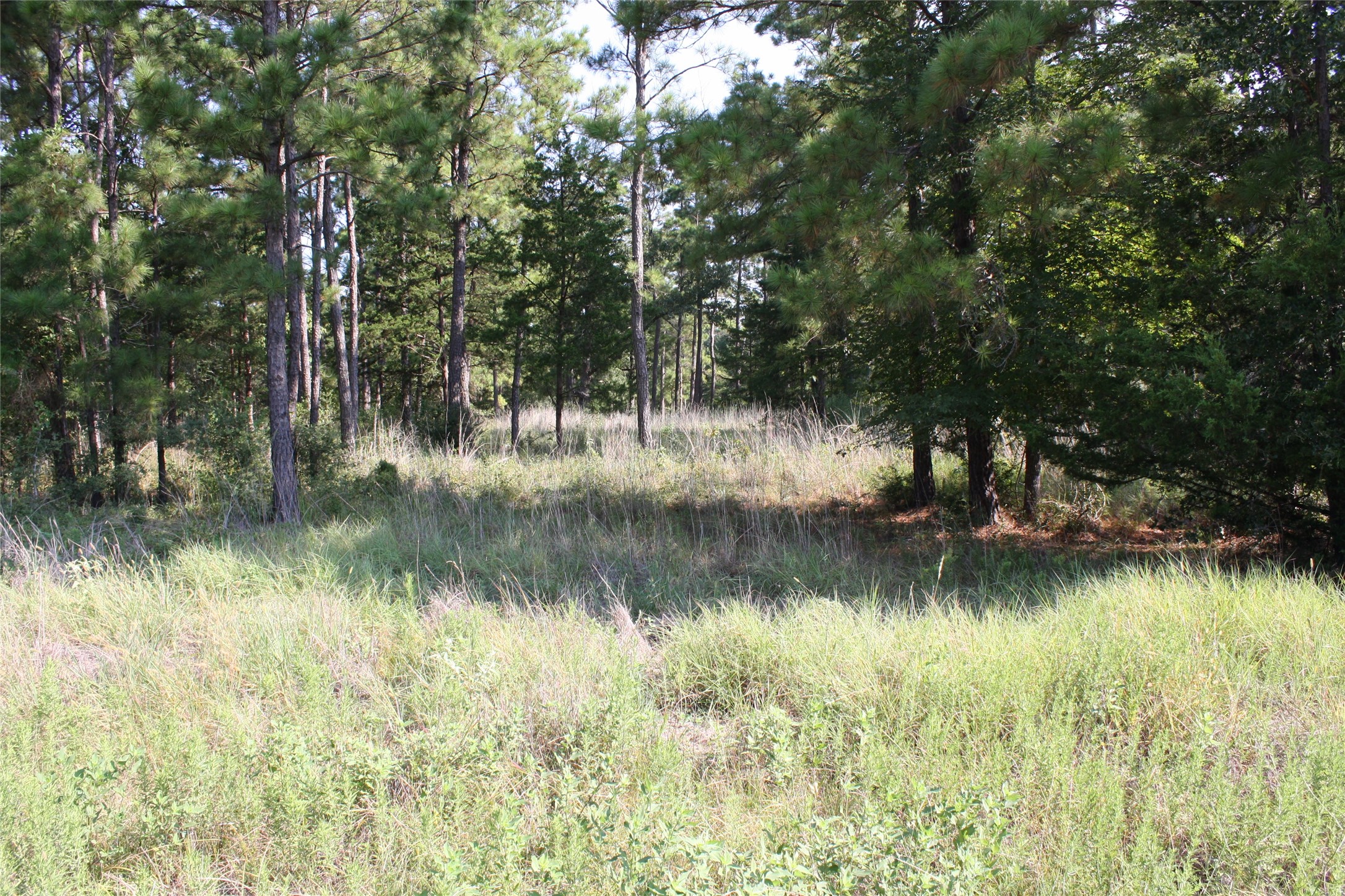 4 Morris Lane Huntsville TX 77320