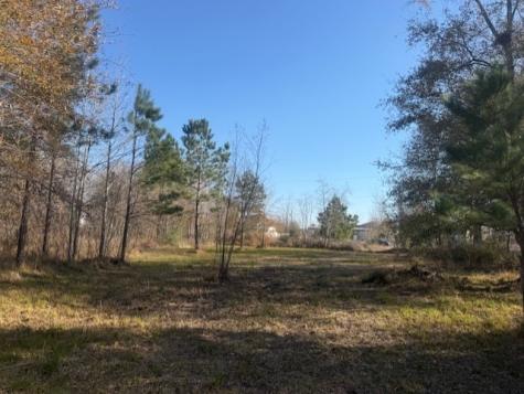 747 County Road 3556 Cleveland TX 77327