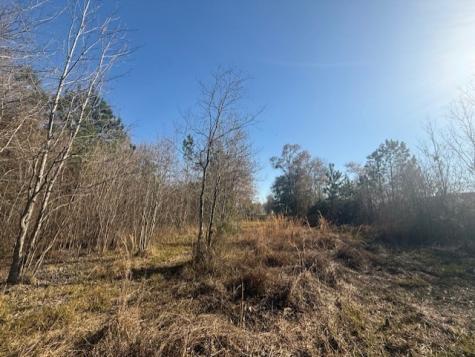747 County Road 3556 Cleveland TX 77327