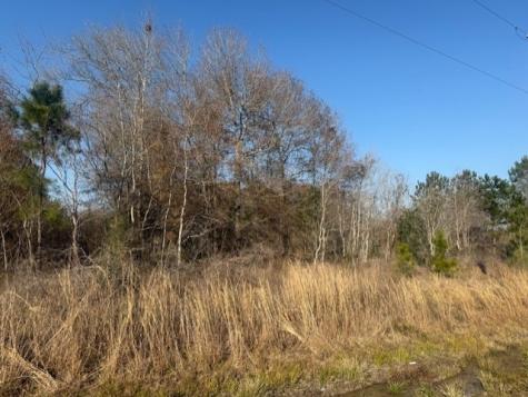 747 County Road 3556 Cleveland TX 77327