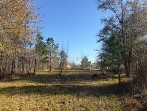 747 County Road 3556 Cleveland TX 77327