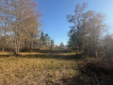 747 County Road 3556 Cleveland TX 77327