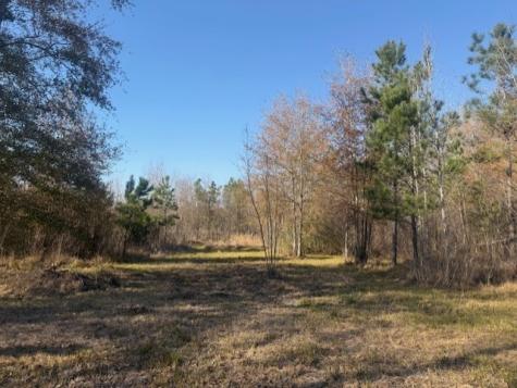 747 County Road 3556 Cleveland TX 77327
