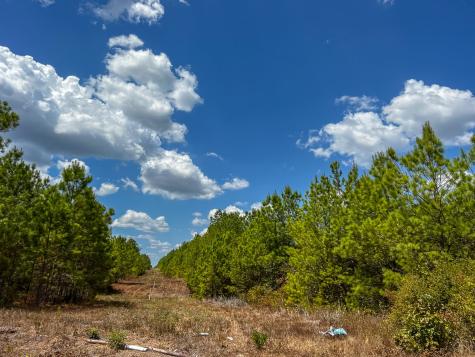 00 Off Lost Indian Camp Road Huntsville TX 77320