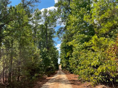 00 Off Lost Indian Camp Road Huntsville TX 77320