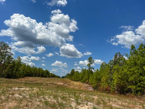 00 Off Lost Indian Camp Road Huntsville TX 77320