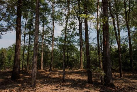 000 County Road 2082 Burkeville TX 75932