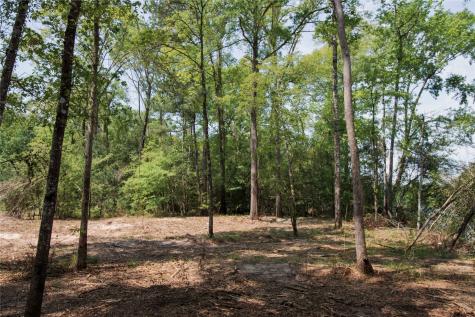 000 County Road 2082 Burkeville TX 75932