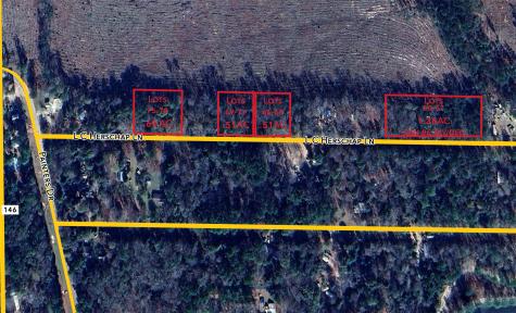 0 L C Herschap Lane Livingston TX 77351