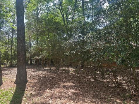 11331 Burning Tree Drive Montgomery TX 77356