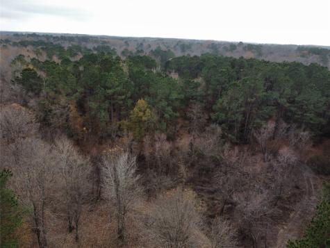 7525 E State Highway 154 Highway E Gilmer TX 75645