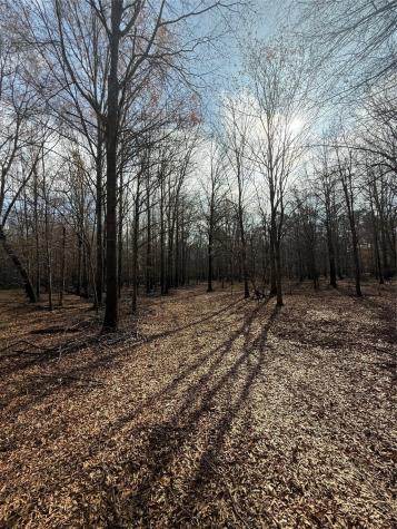 7525 E State Highway 154 Highway E Gilmer TX 75645