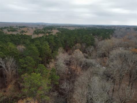 7525 E State Highway 154 Highway E Gilmer TX 75645