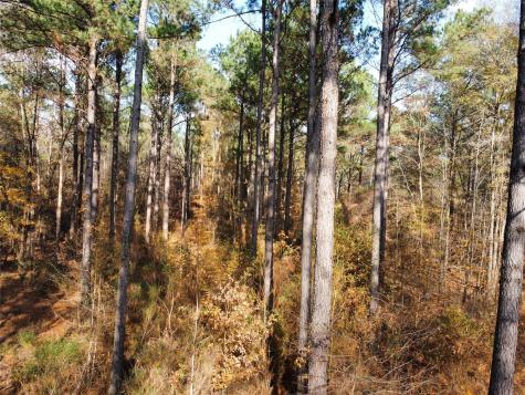 7525 E State Highway 154 Highway E Gilmer TX 75645
