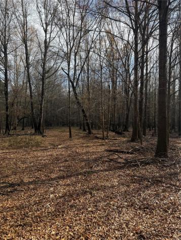 7525 E State Highway 154 Highway E Gilmer TX 75645