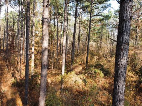 7525 E State Highway 154 Highway E Gilmer TX 75645