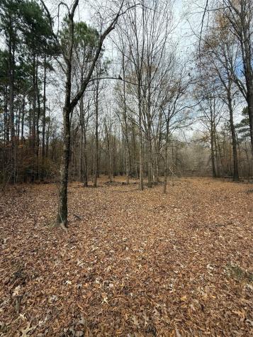 7525 E State Highway 154 Highway E Gilmer TX 75645