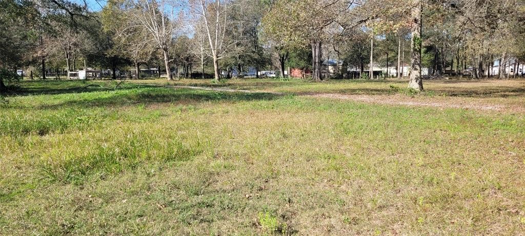 20033 Red Oaks S New Caney TX 77357
