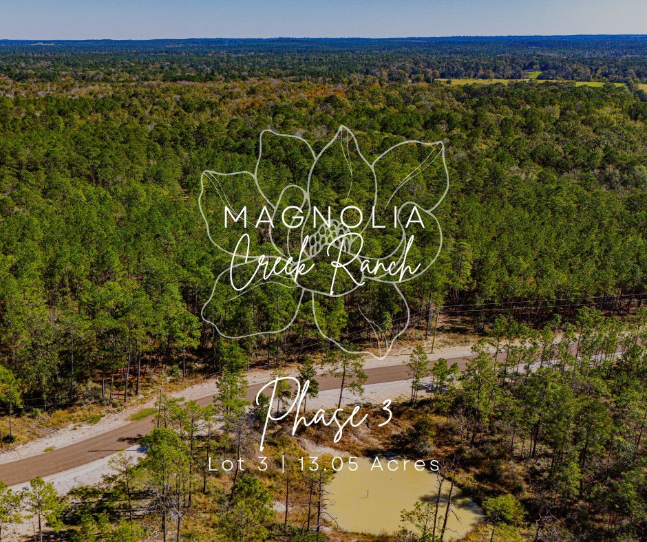 033 King Ranch Road South Road Onalaska TX 77360
