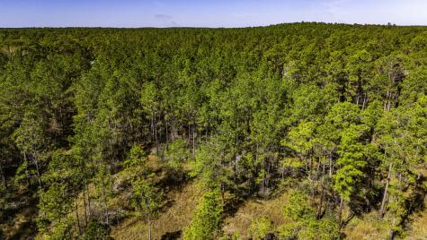 033 King Ranch Road South Road Onalaska TX 77360