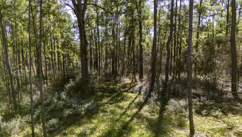 033 King Ranch Road South Road Onalaska TX 77360
