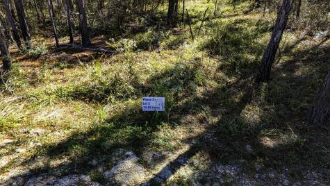 033 King Ranch Road South Road Onalaska TX 77360