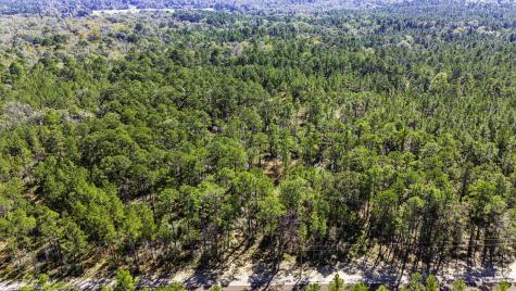 033 King Ranch Road South Road Onalaska TX 77360