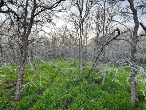 805 Wilderness Somerville TX 77879