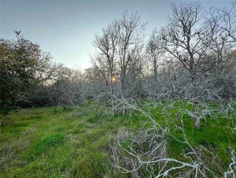 805 Wilderness Somerville TX 77879