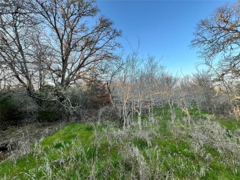 805 Wilderness Somerville TX 77879