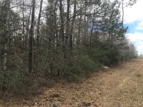 331 Hollywood Street Livingston TX 77351