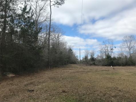 331 Hollywood Street Livingston TX 77351